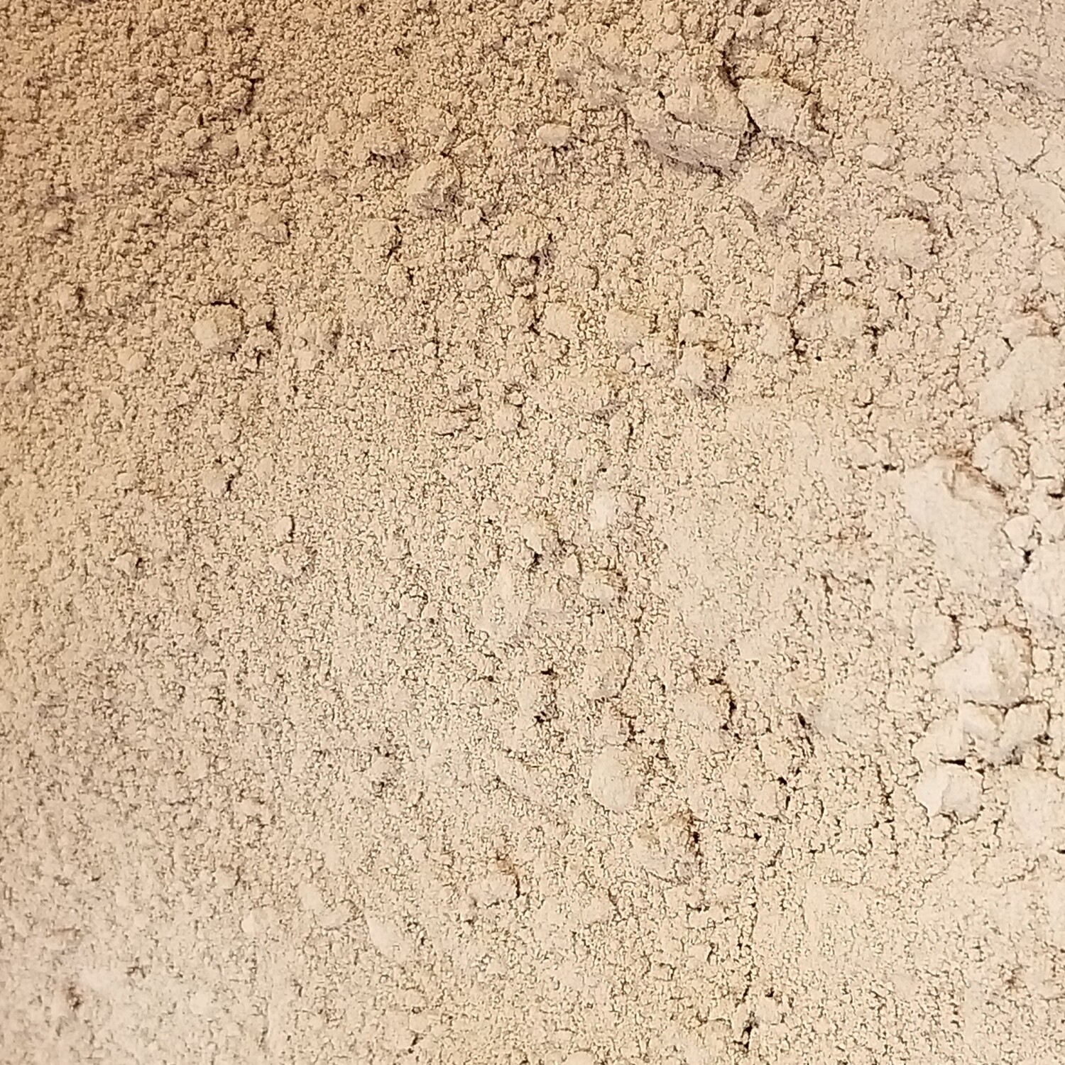 100g de Cacao pur en poudre
