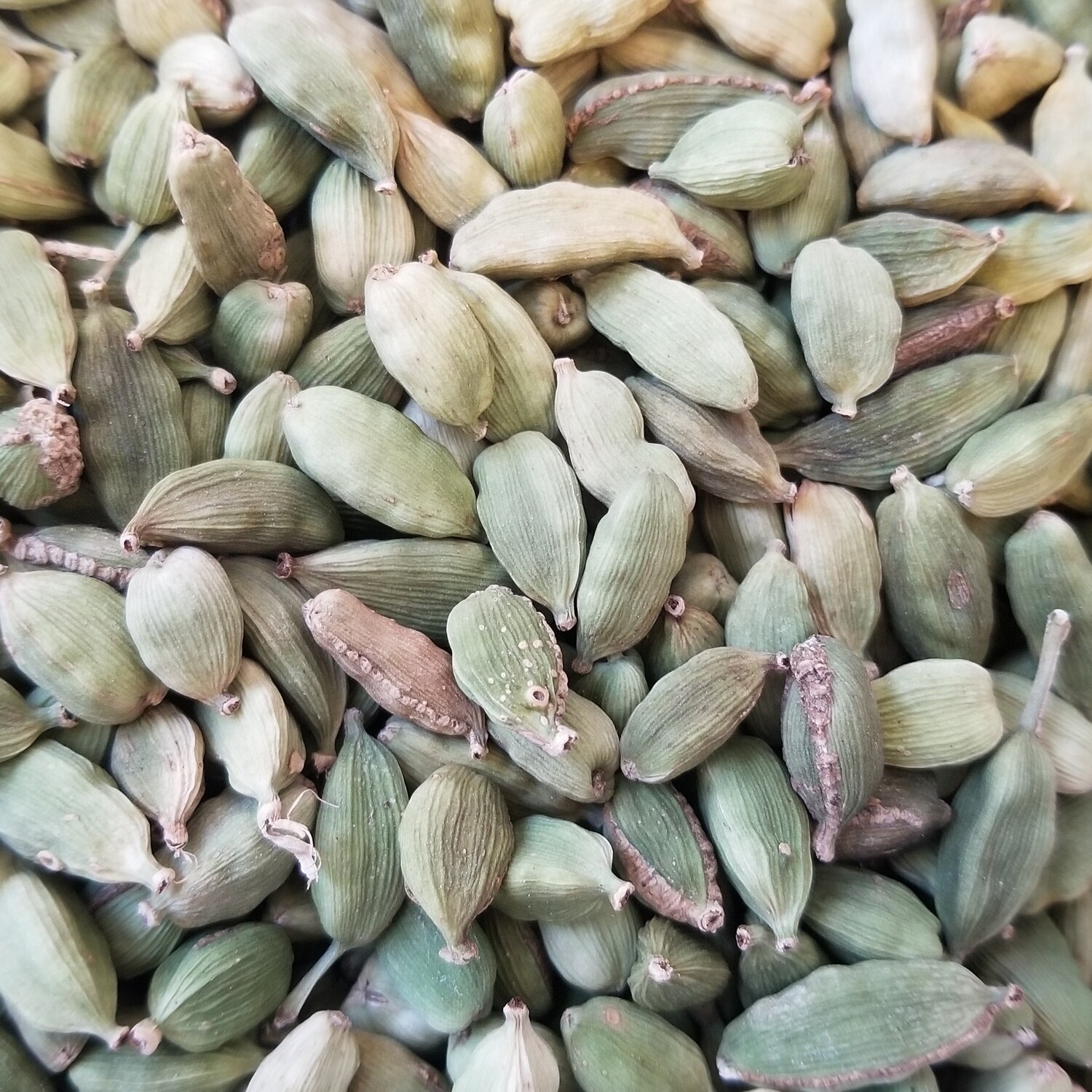 10g de Cardamone en grains