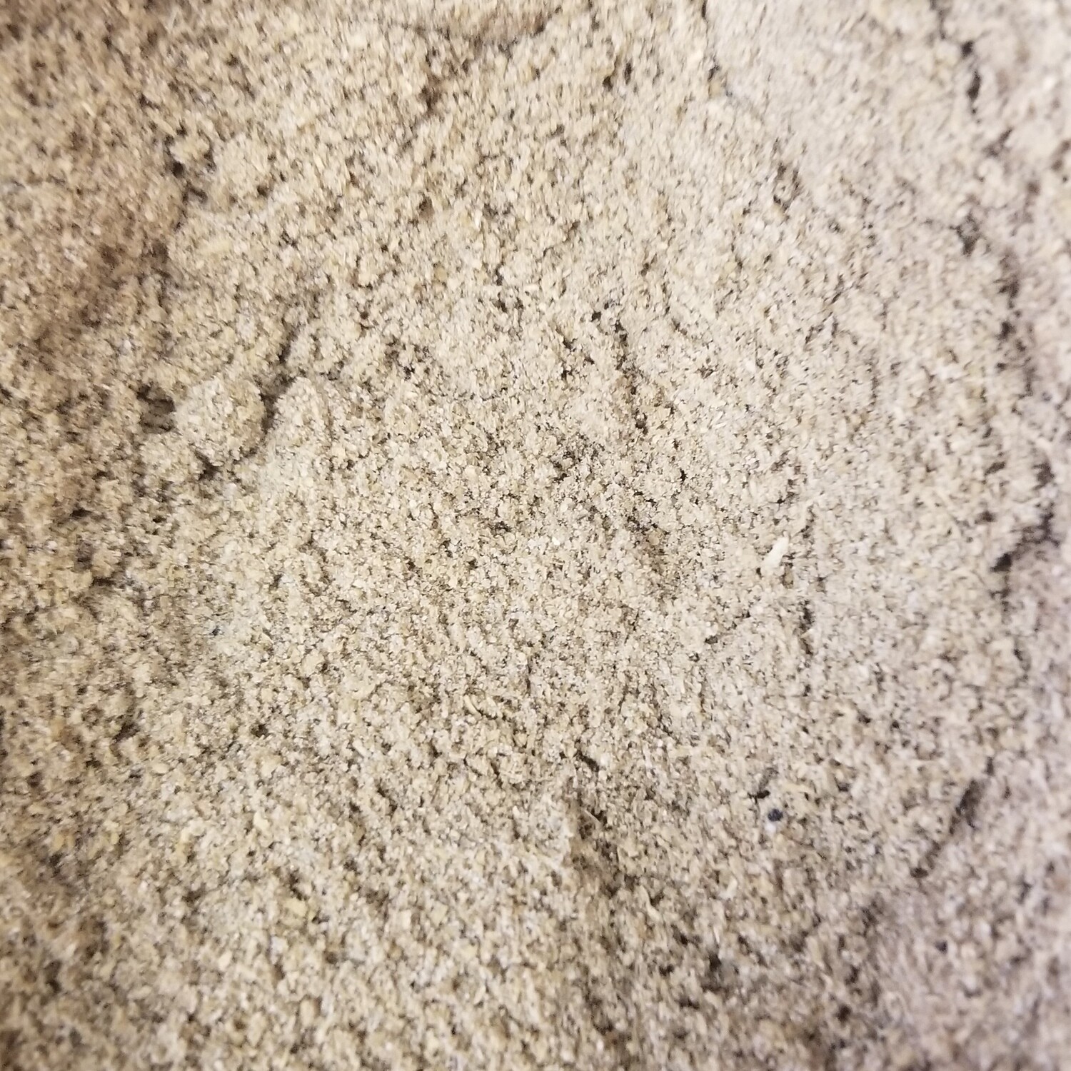 100g de Coriandre en poudre