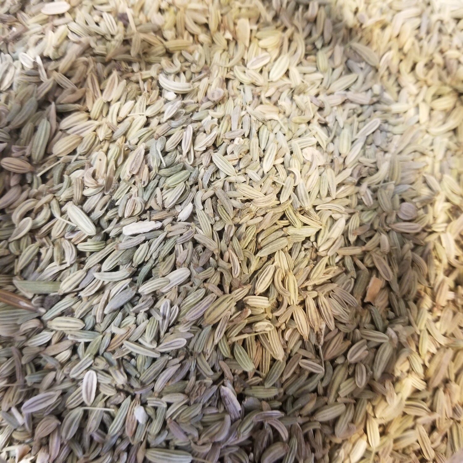 100g de Fenouil en grains