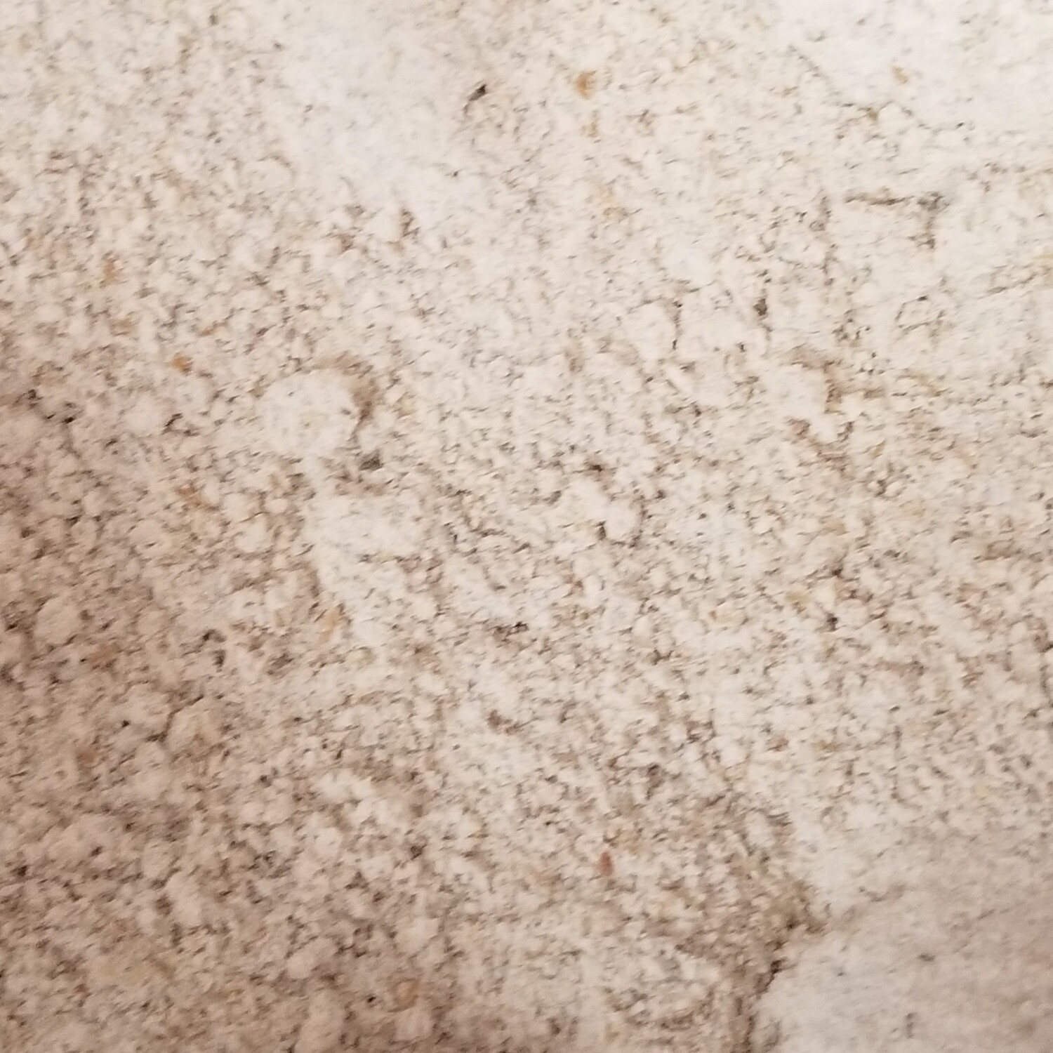 500g de Farine de seigle