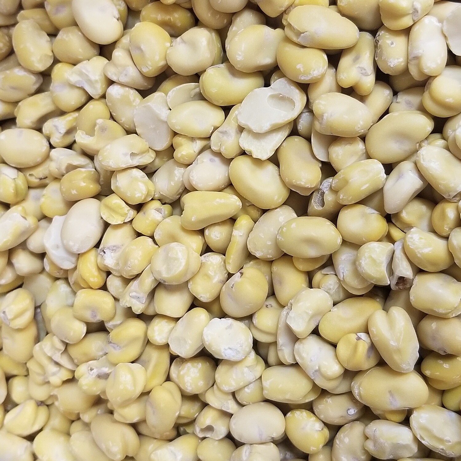250g de Fèves décortiquées