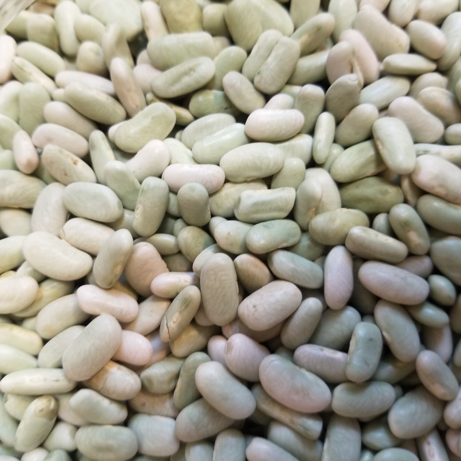 250g de Flageolets verts