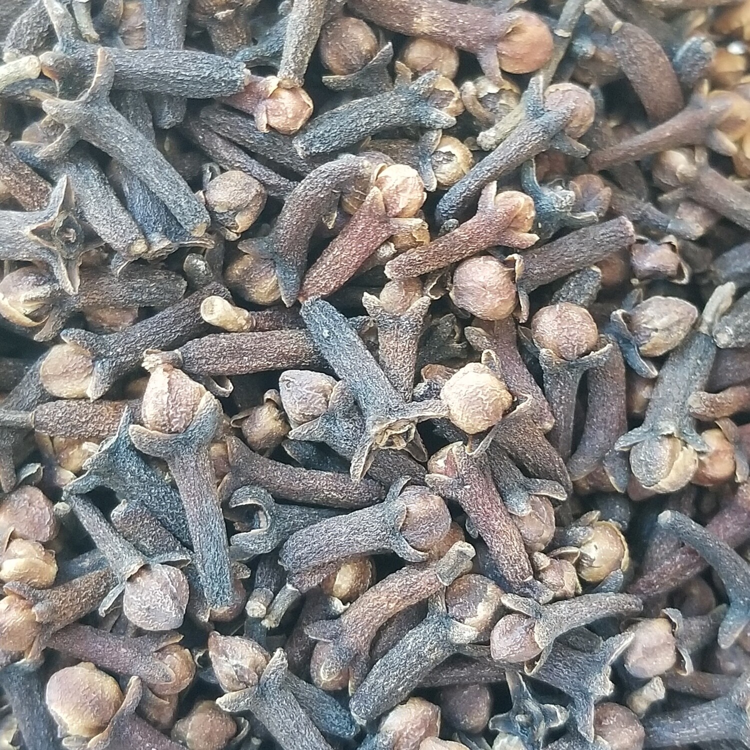 10g de Clous de girofle