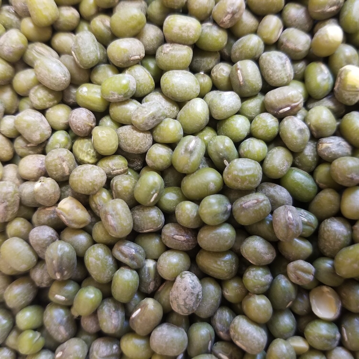 250g de Haricot mungo