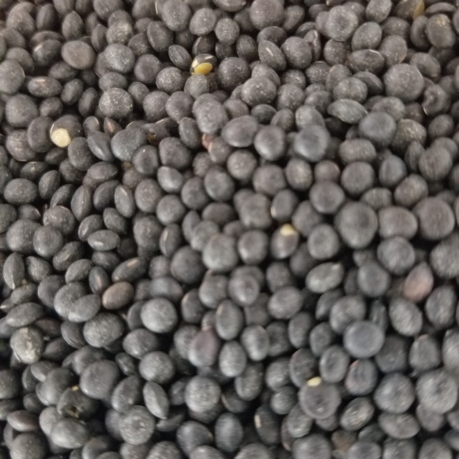 250g de Lentilles noires