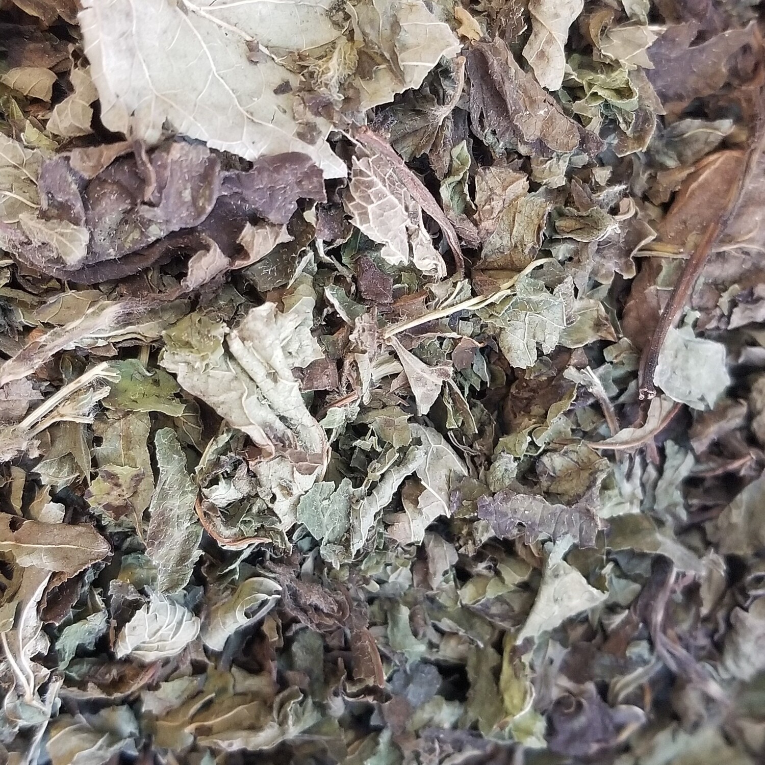 100g de Mélisse