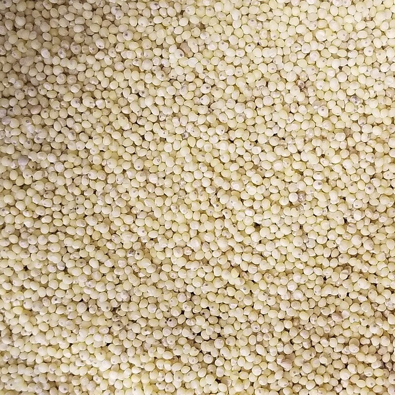 100g de Millet décortiqué