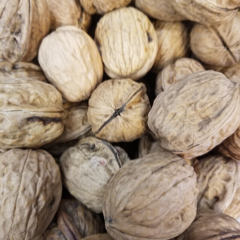 100g de Noix en coques