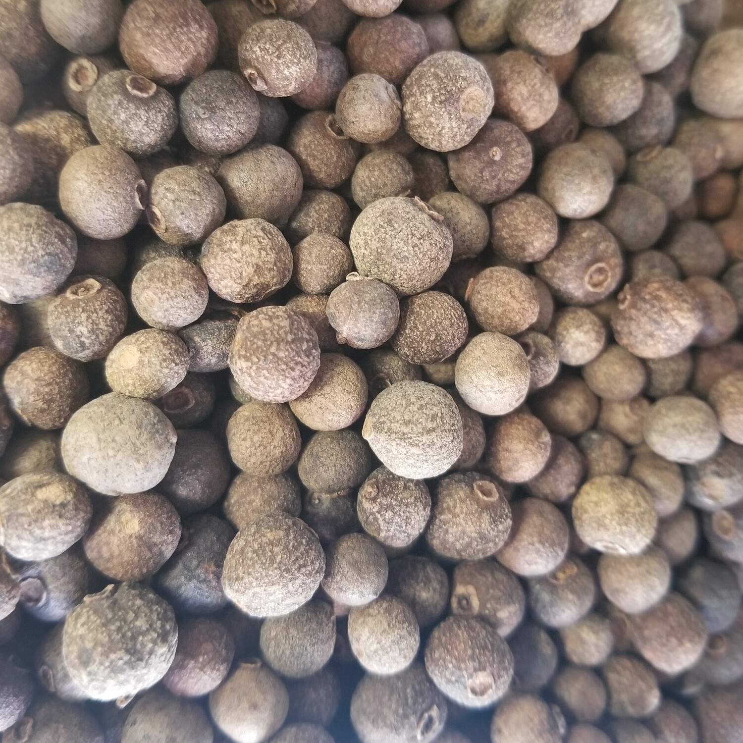 10g de Piment du Mexique