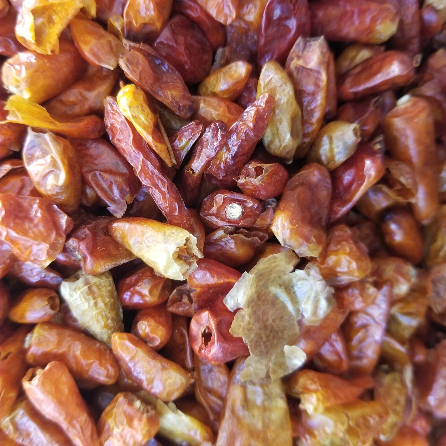 100g de Piment Pili Pili Langue d'Oiseau