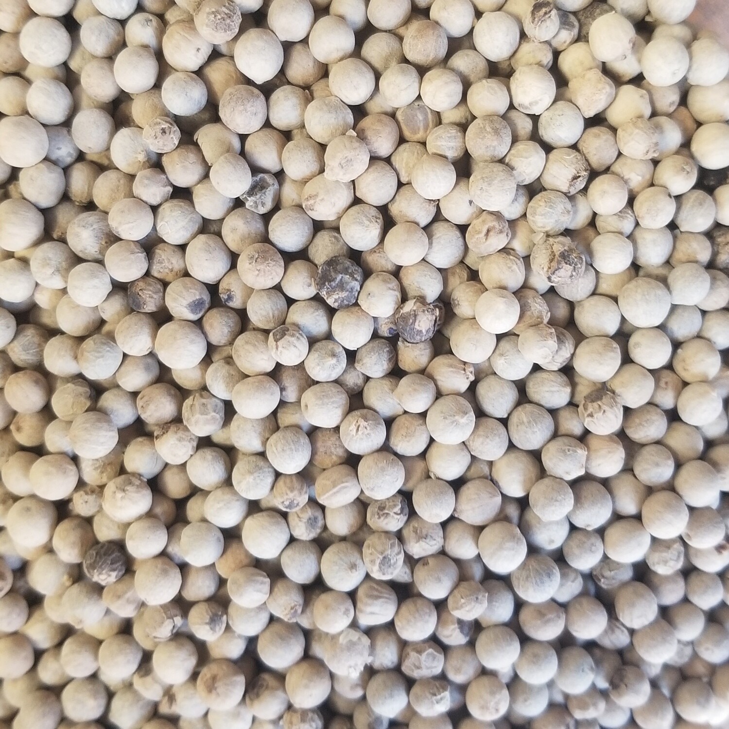 10g de Poivre blanc de Madagascar