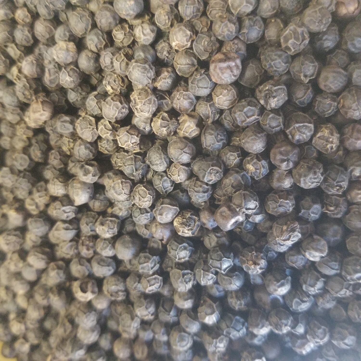 10g Poivre noir de Kampot