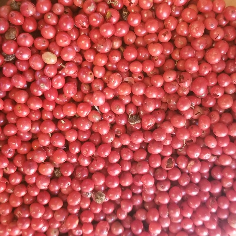 10g de Poivre rouge de Madagascar