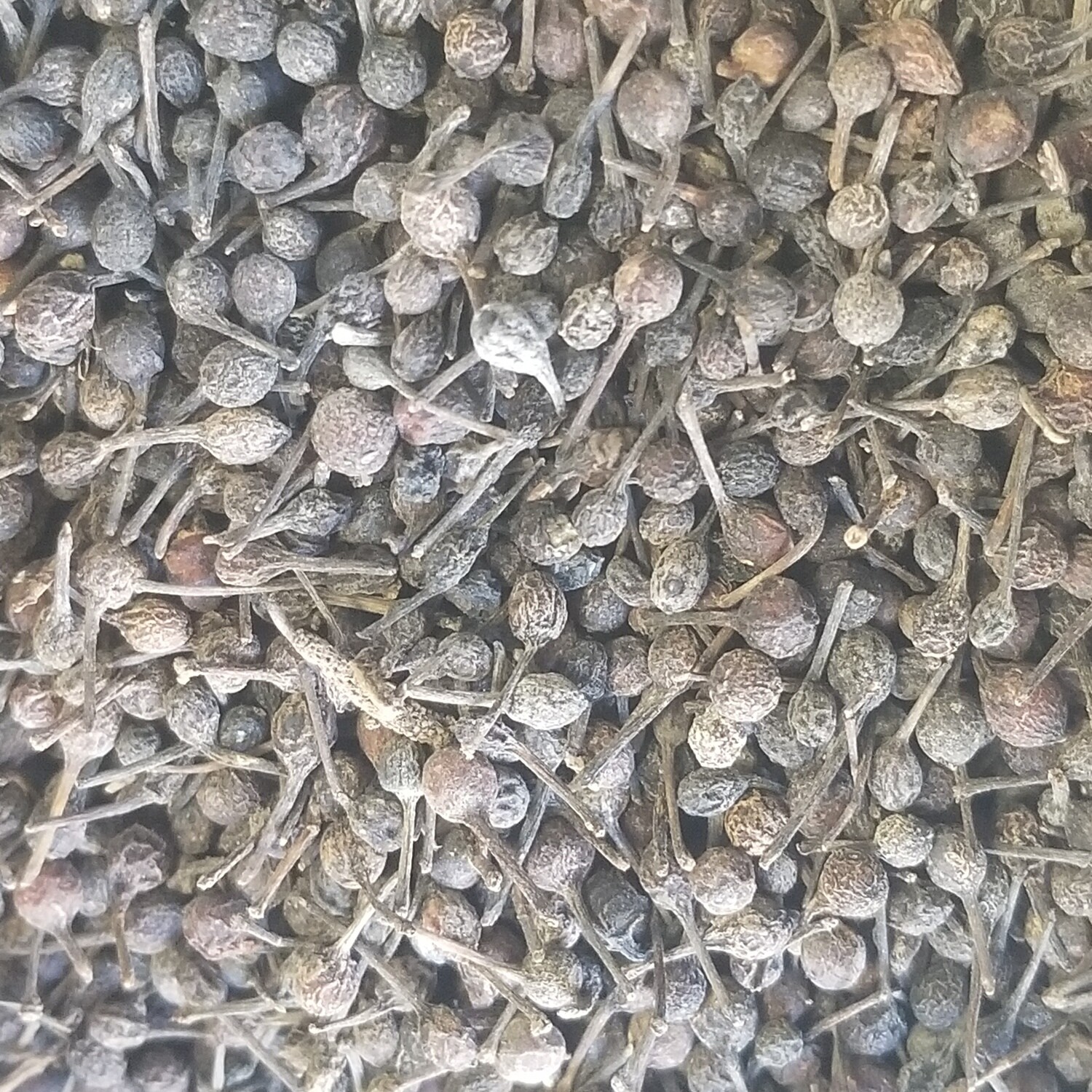 10g de Poivre sauvage