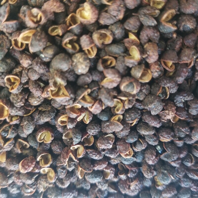 10g de Poivre Timut du Nepal