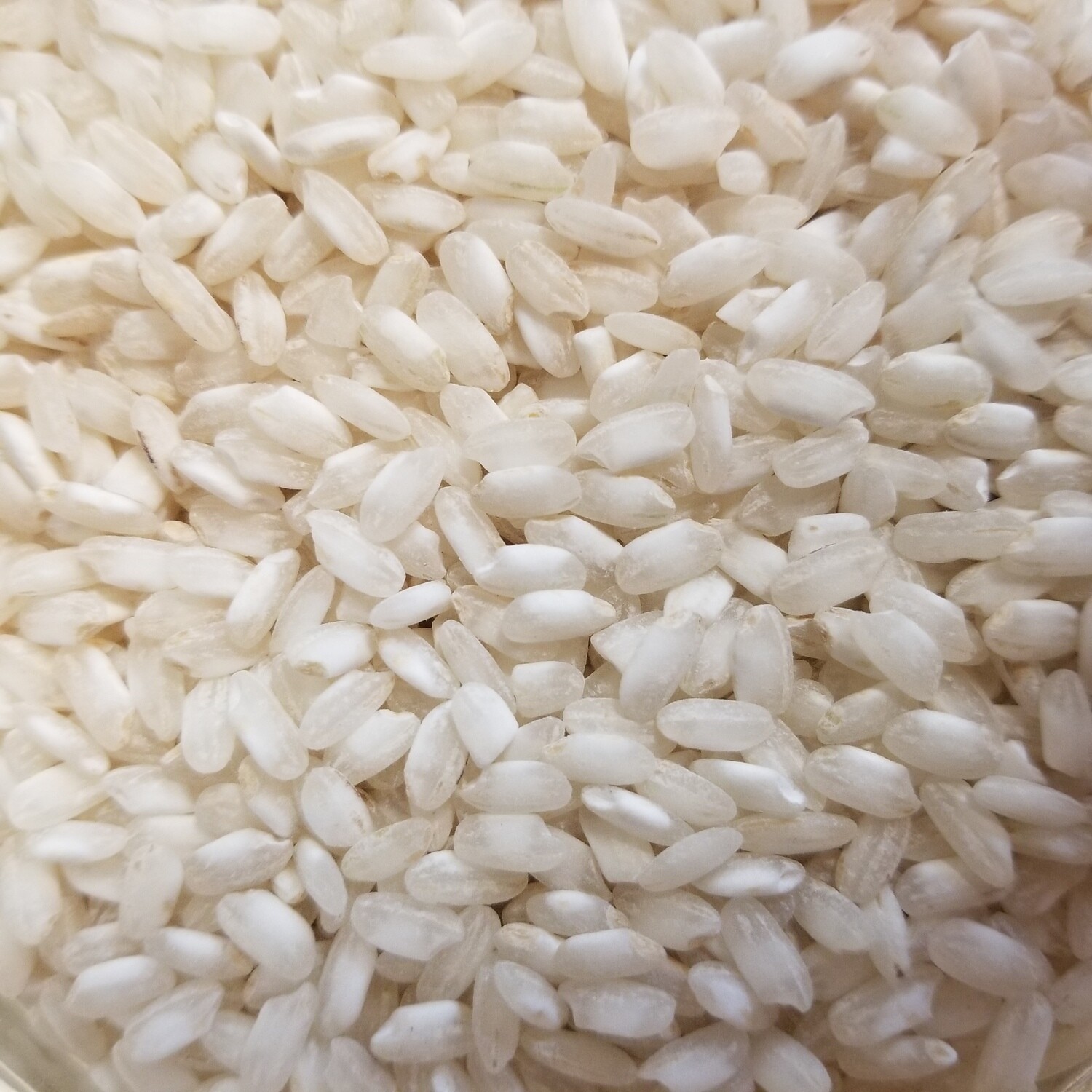 500g de Riz pour risotto