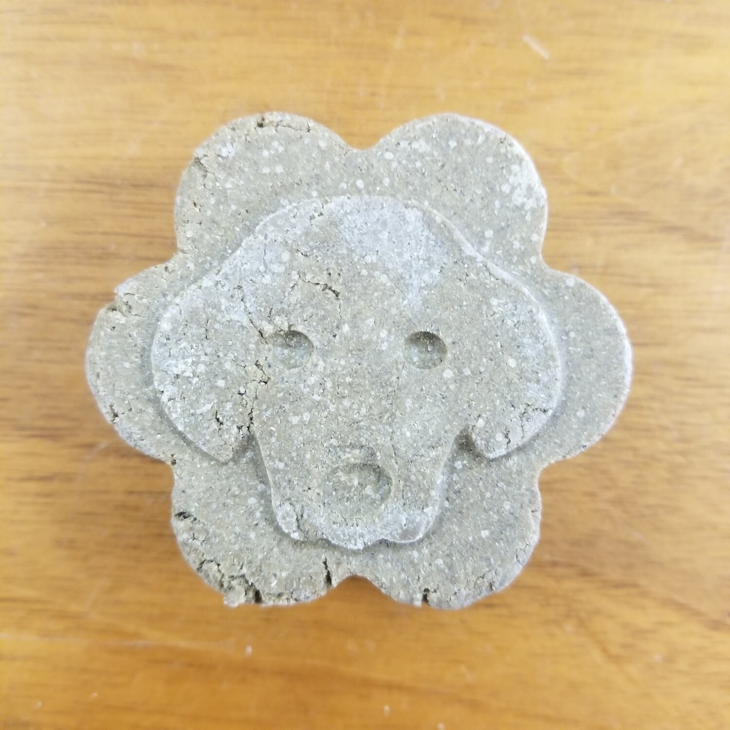 Shampoing naturel pour chiens
