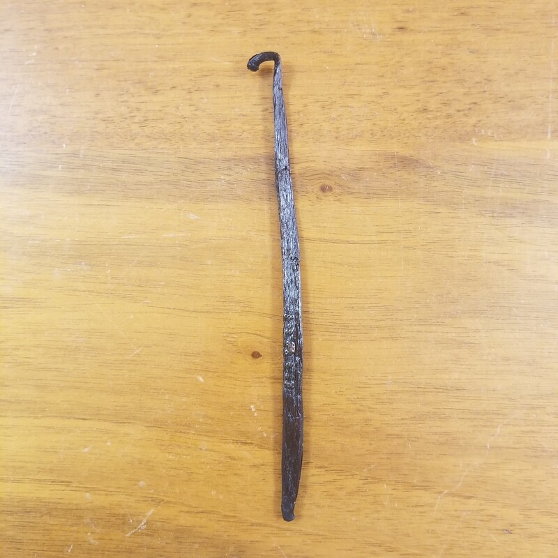 Une gousse de Vanille