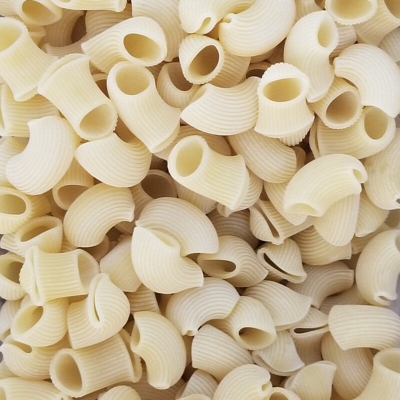 500g de Conchiglie blanches