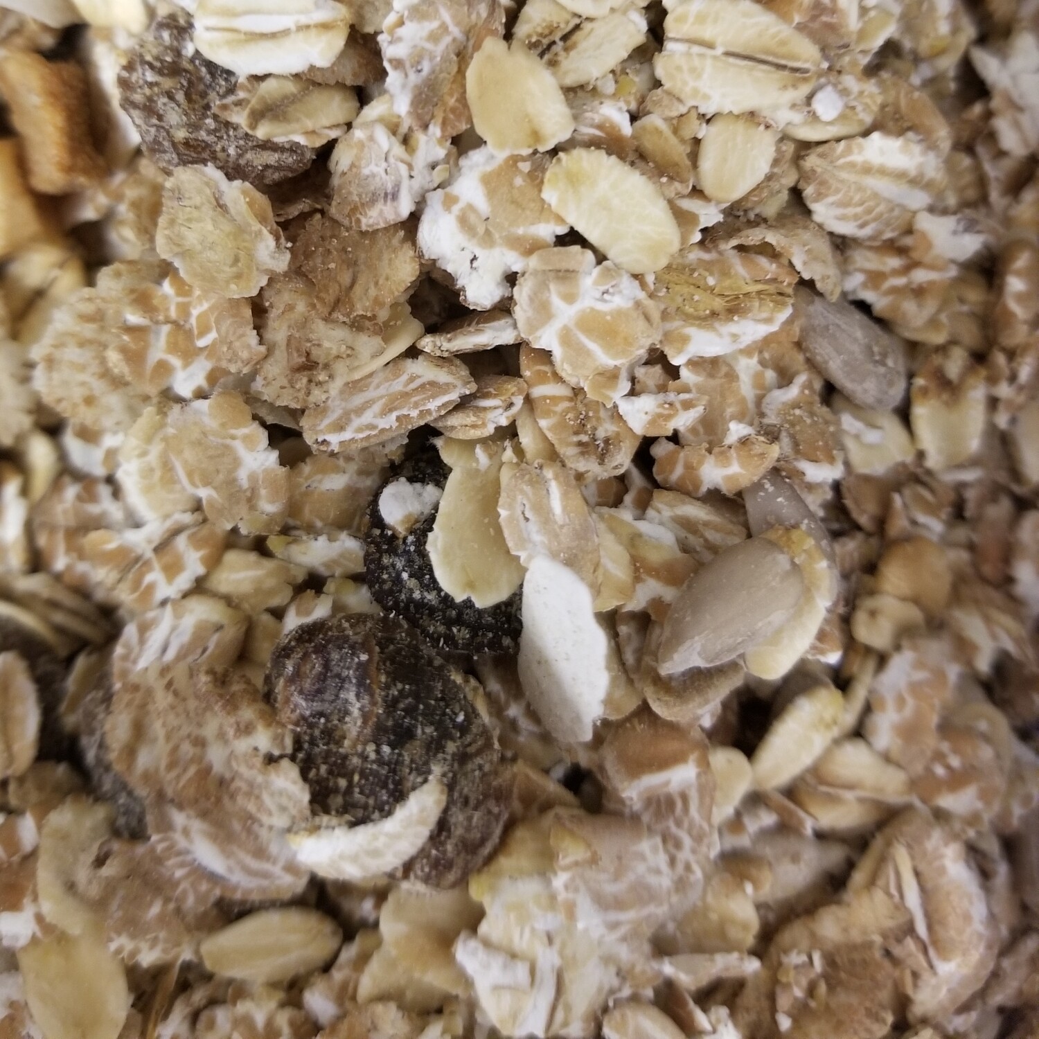 500g de Muesli aux Fruits