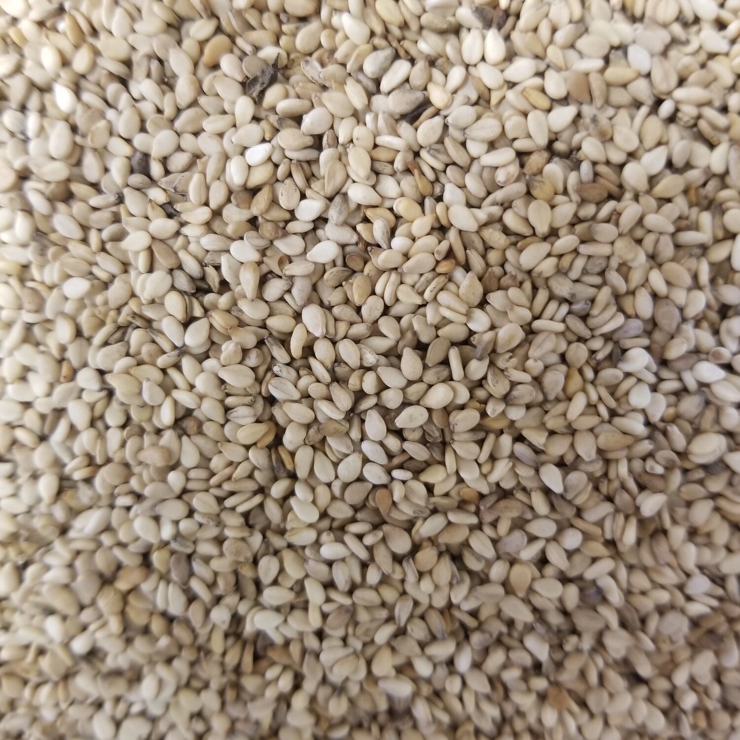 100g de Graines de sésame complet grillé