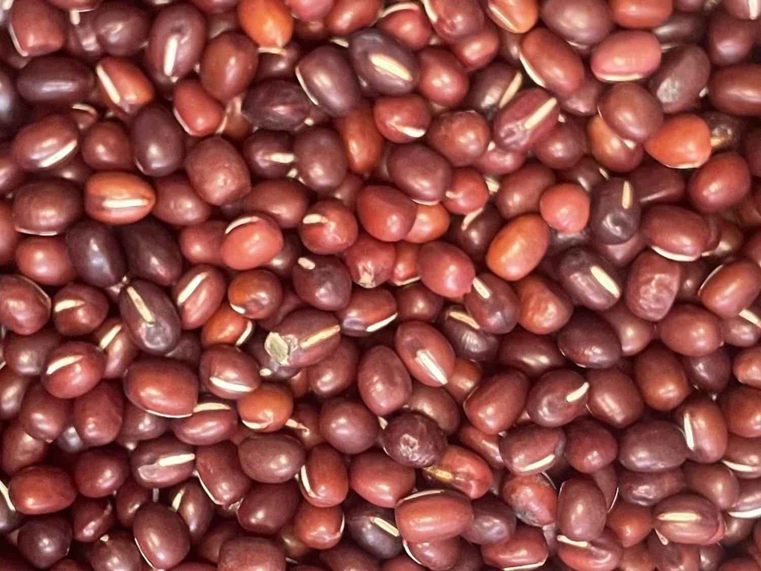 250g de Haricots Azukis