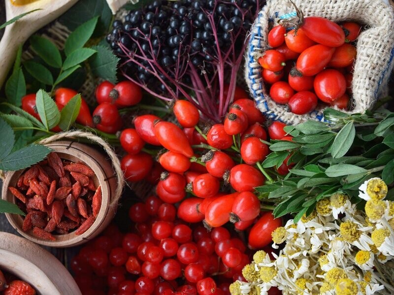 Herfstwandeling + Workshop 'Harvest Time' 2025 - zondageditie