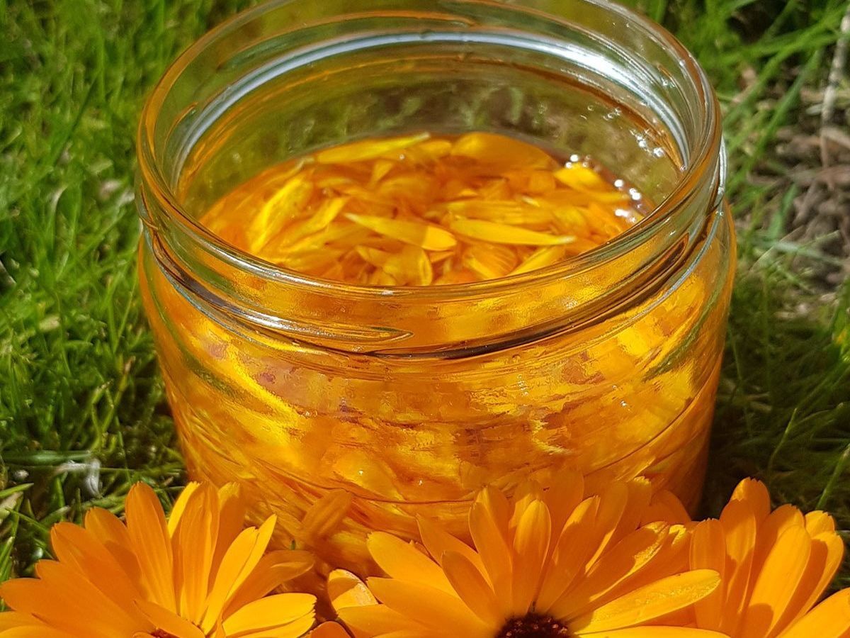 Zomerwandeling + Workshop 'Natuurlijk verzorgd op vakantie' - 2026 maandageditie