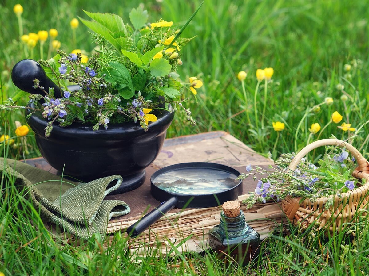 Introductie Kruidengeneeskunde (Natural Health)