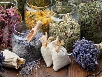 Geneeskracht van Aromatische Kruiden (Natural Health) - Zaterdageditie 2026