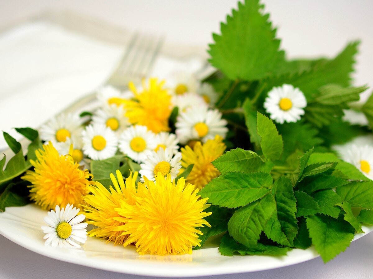 Detox met Geneeskrachtige Kruiden (Natural Health)