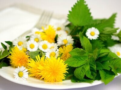 Detox met Geneeskrachtige Kruiden (Natural Health)