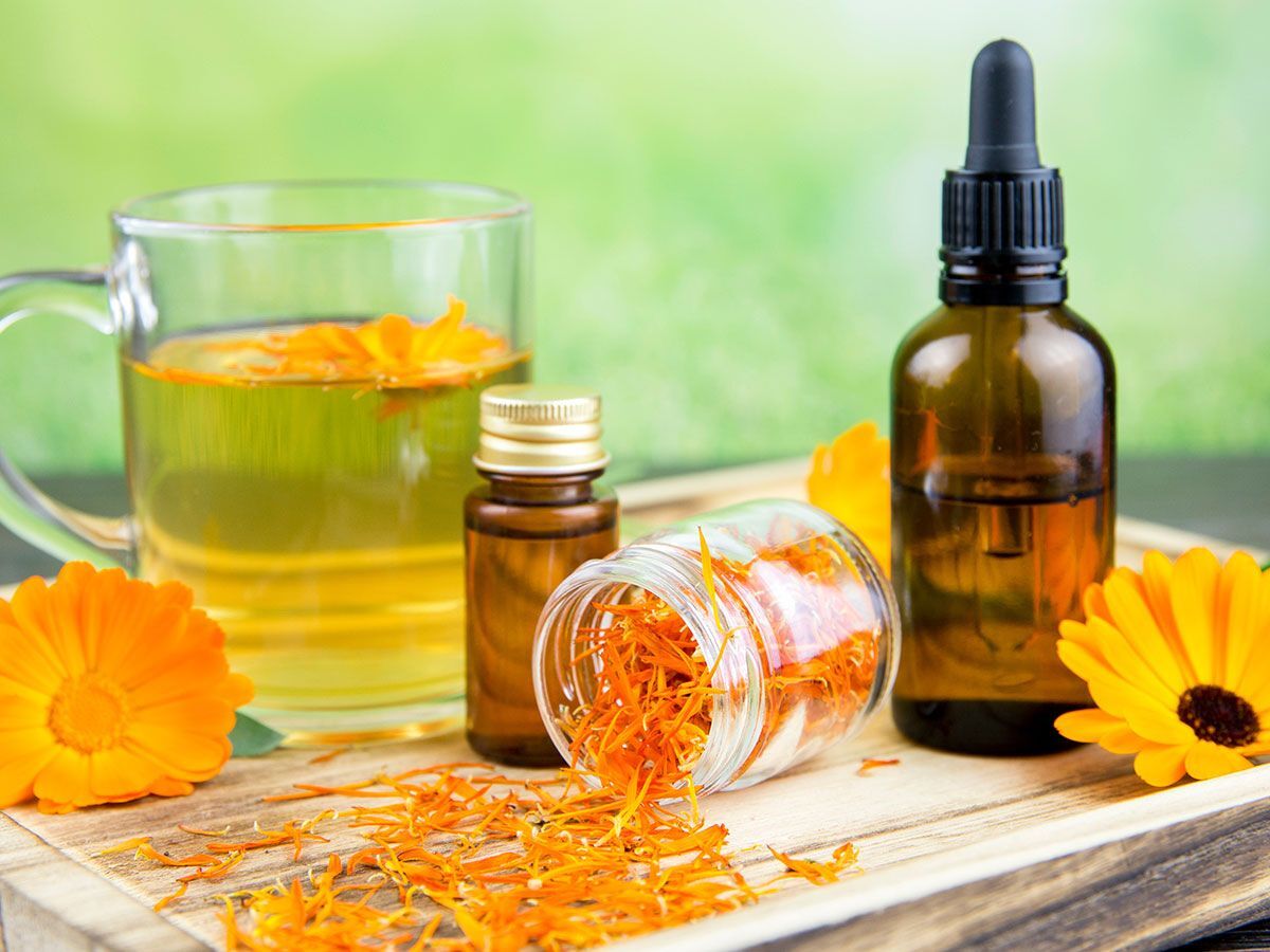 Detox met Geneeskrachtige Kruiden (Natural Health)