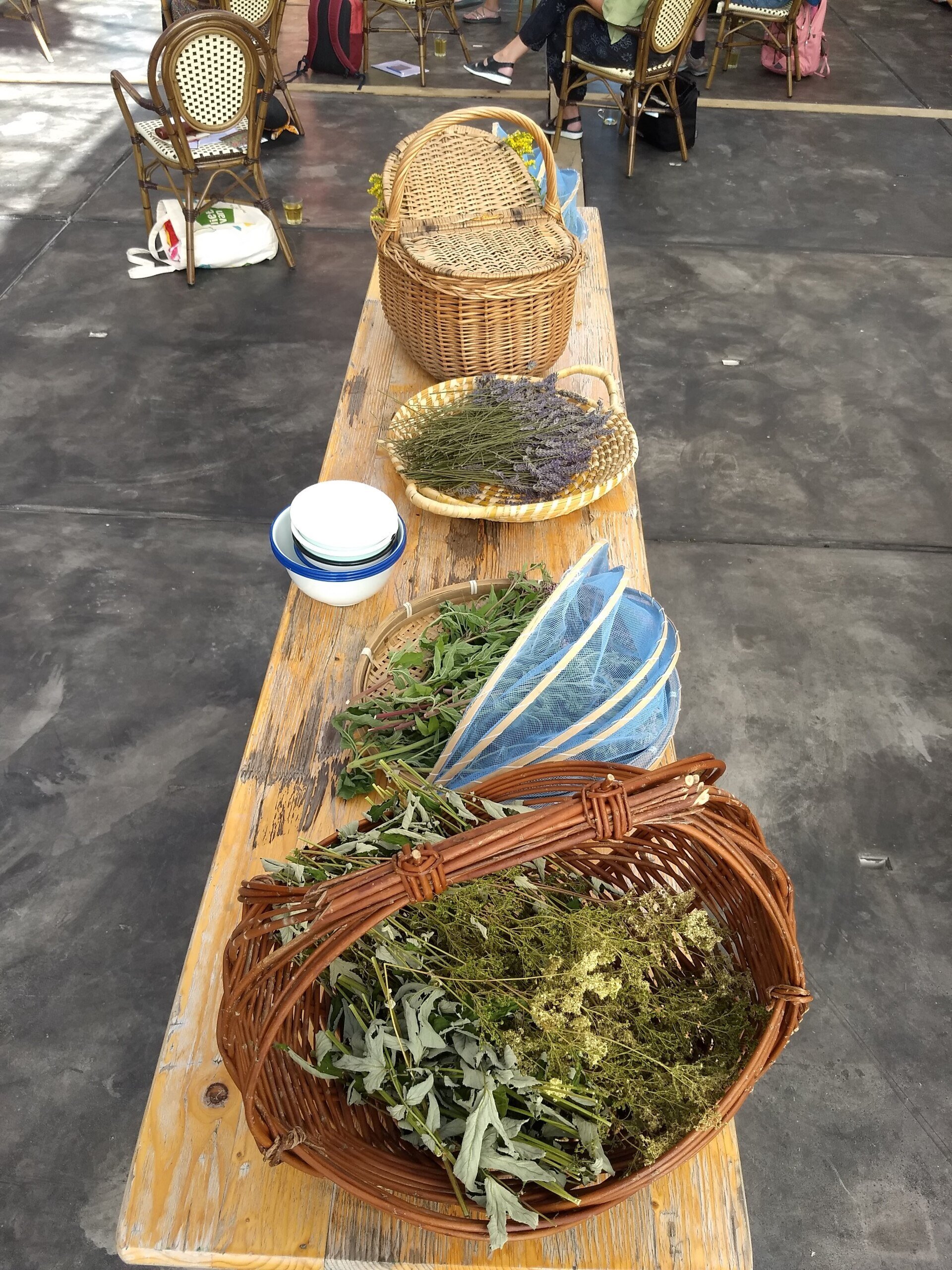 Geneeskracht van Aromatische Kruiden (Natural Health) - 2027