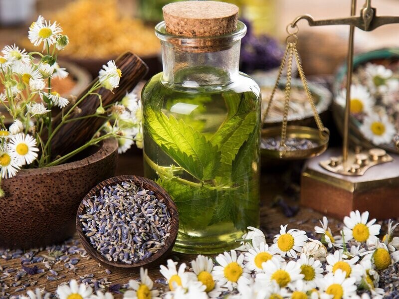 EHBO met Geneeskrachtige Kruiden en Bachbloesems (Natural Health)