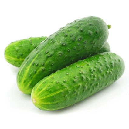 Cucumber