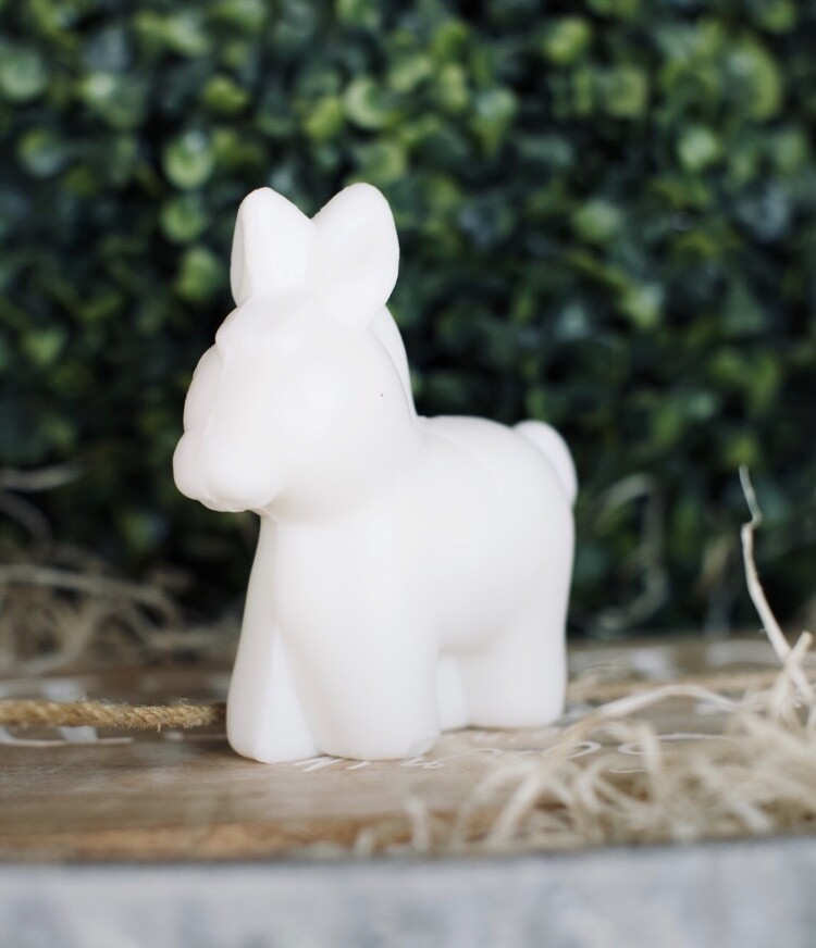 Savon âne lait d'ânesse bio
