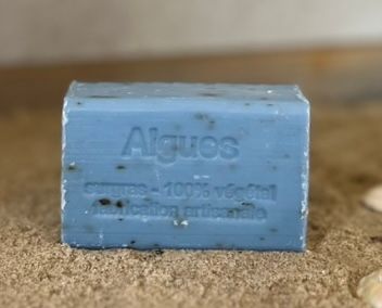 Algues