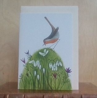 Robin and Snowdrops