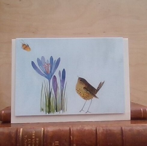 Beeing Around a wren