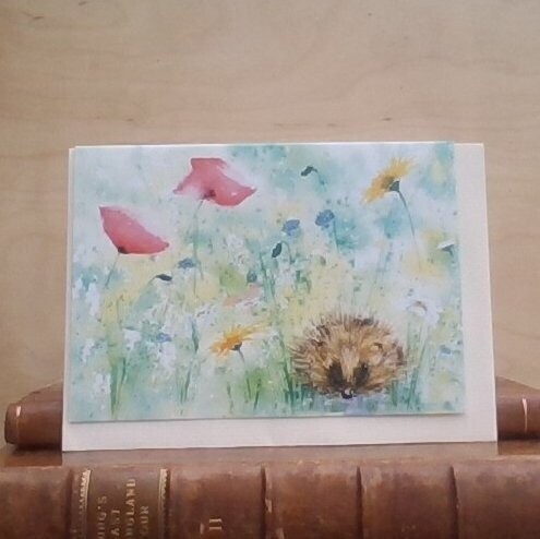 Meadow Hedgehog