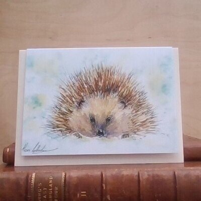 Very Spiky Hedgehog