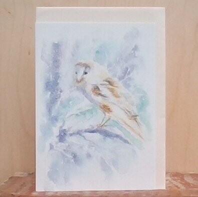 Barn Owl