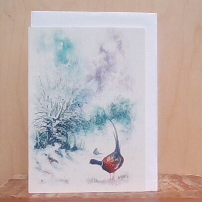 Winter Wanderings