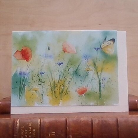 Meadow Visitor