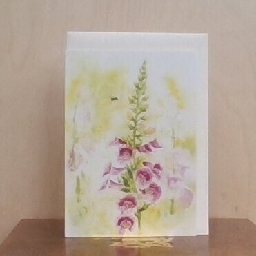 Meadow Foxgloves