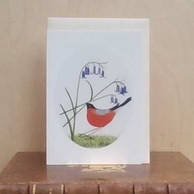 Bullfinch & Bluebells