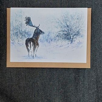 Stag in the Snow 5