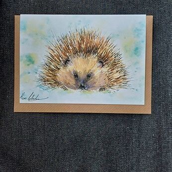 Very Spiky Hedgehog   8